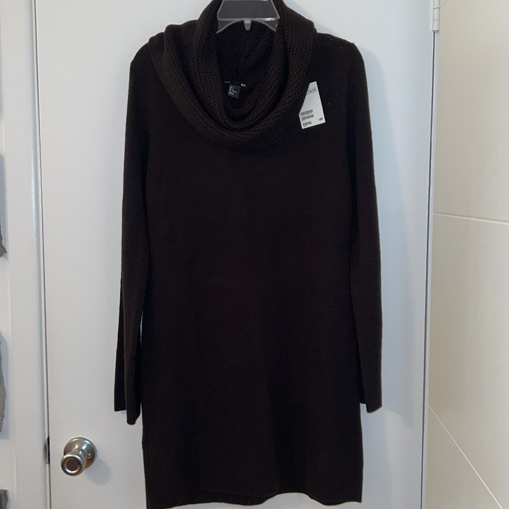 H&M Cowlneck Dress